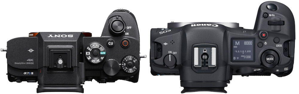 Sony A7S III vs Canon R5 - 3